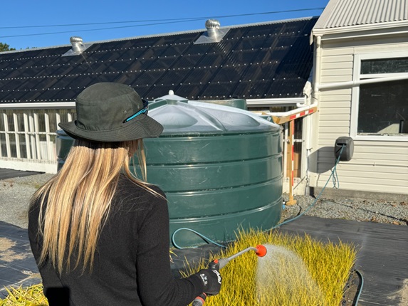Woman watering plants at a nursery with a water tank in the background.